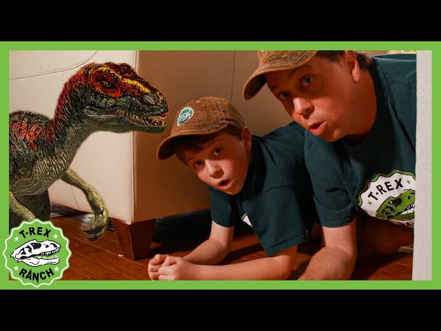 Do You Know What the Mystery Pet Is?! | T-Rex Ranch Dinosaur Videos for Kids