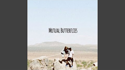 Mutual Butterflies
