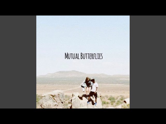 Mutual Butterflies