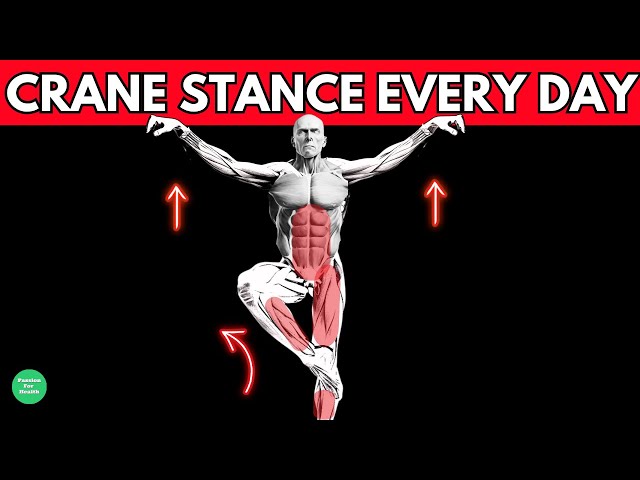 What Happens To Your Body When You Do The Crane Stance Every Day-Shocking Results
