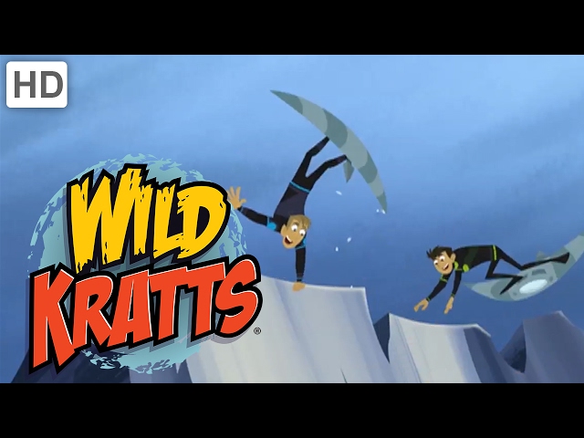 Wild Kratts - Animal Love
