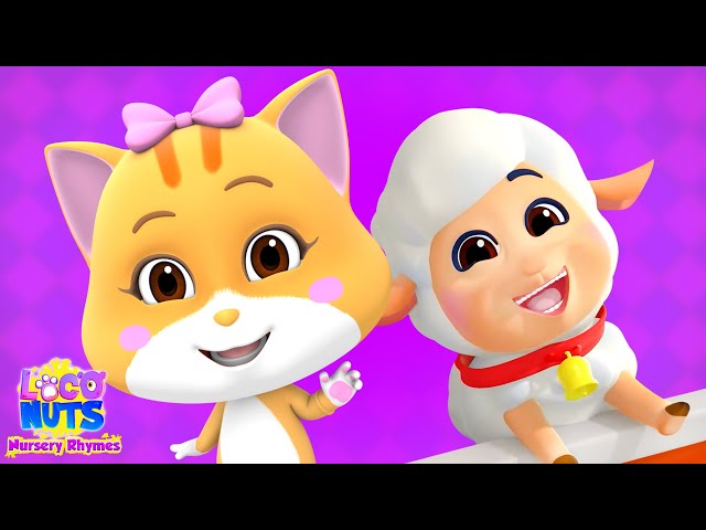 Mary Had A Little Lamb, Sheep Song + More Songs for Kids and Cartoon Videos