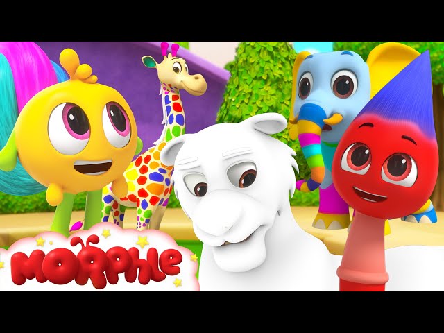 Morphle's Colorful Animal Zoo - Mila and Morphle |  Kids Videos | Morphle TV