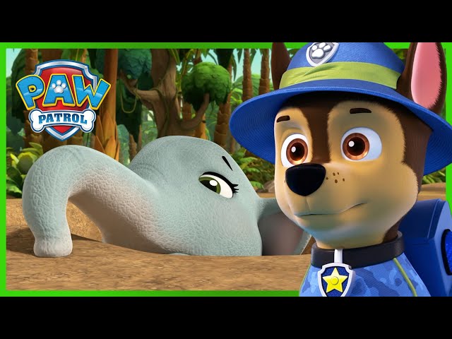 Jungle Pups Save a Baby Elephant - PAW Patrol Episode - Cartoons for Kids