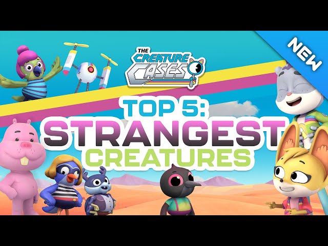 @CreatureCases - 🐦 Top 5: Strangest Animals 🗒️ | Creature Features | Full Episodes