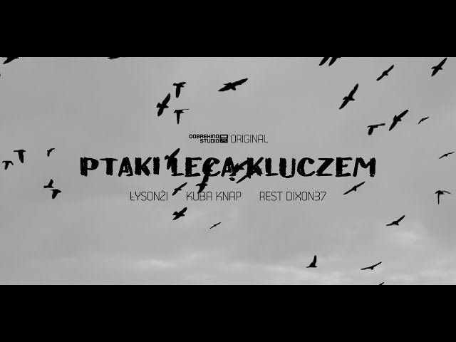 Łysonżi & Kuba Knap  feat. Rest Dixon 37, DJ Chederac - Ptaki lecą kluczem (prod. 101 Decybeli)