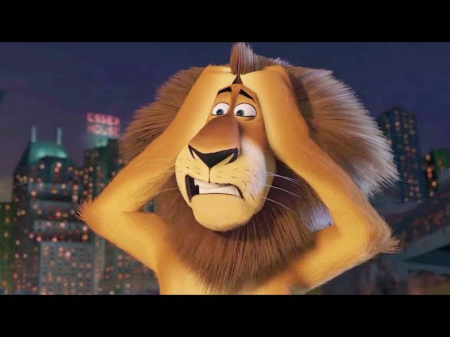 DreamWorks Madagascar | Marty's Gone!  - Madagascar Movie Clip | Madagascar | Kids Movies