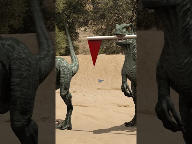 It's the Dinosaur Games! 🦖 | T-Rex Ranch Dinosaur Videos for Kids