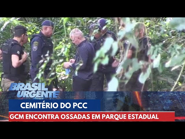GCM encontra cemitério clandestino do PCC em parque de SP | Brasil Urgente