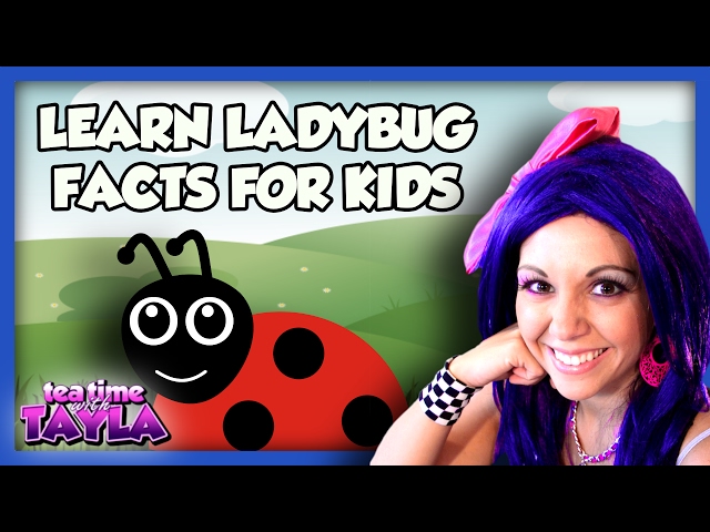 Learn Ladybug Facts for Kids - Animals for Children on Tea Time with Tayla