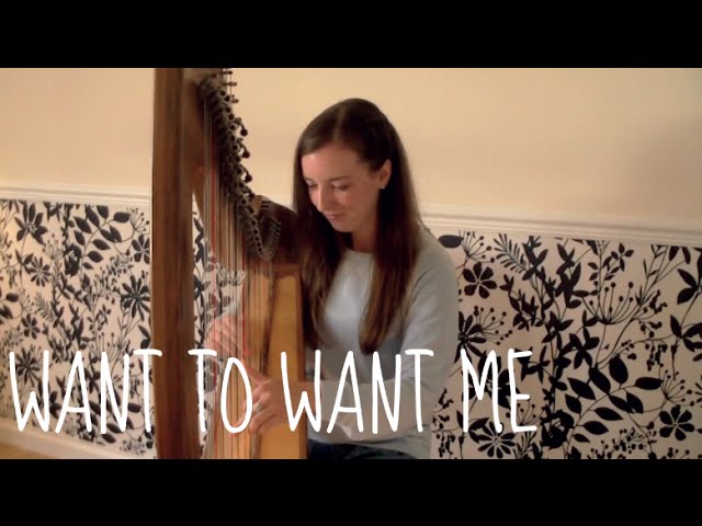 Want to Want Me | Jason Derulo (Harp Cover)