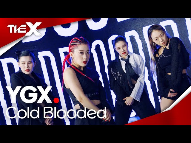[Vertical Cam] YGX Performance / Cold Blooded – 제시(Jessie) [THE X]