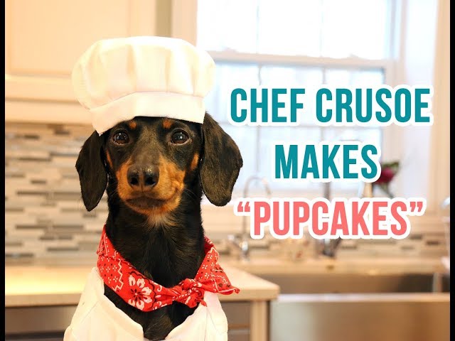 Chef Crusoe Makes "Pupcakes" to Help Save Pups!