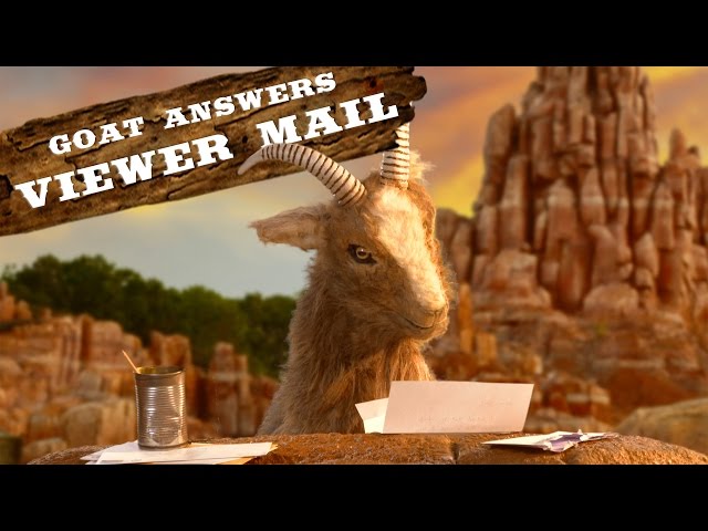 Viewer Mail Time | Walt Disney World Goat Friends | WDW Best Day Ever