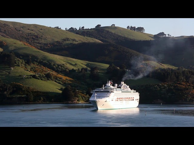 Arrival to New Zealand