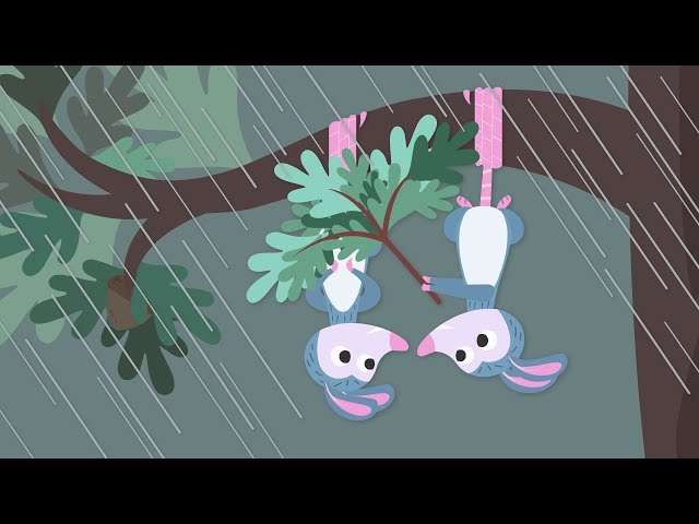 Treetop Family Episode #7 | A Stormy Day | Cartoon For Children