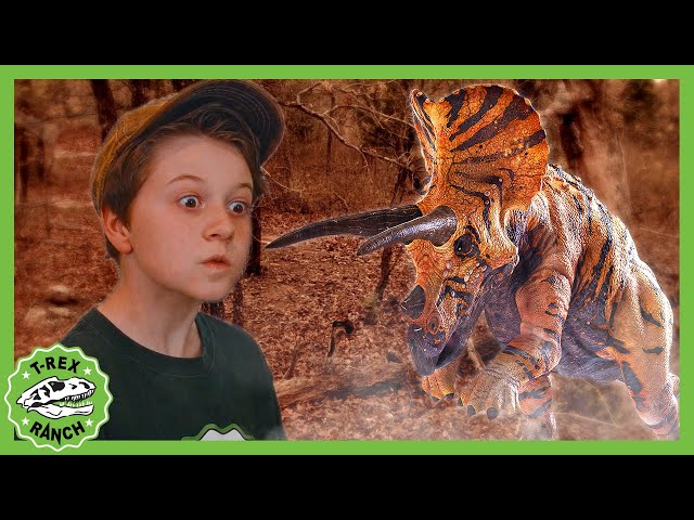 Find the Dinosaurs in the Forest + Science Experiment! | T-Rex Ranch Dinosaur Videos for Kids