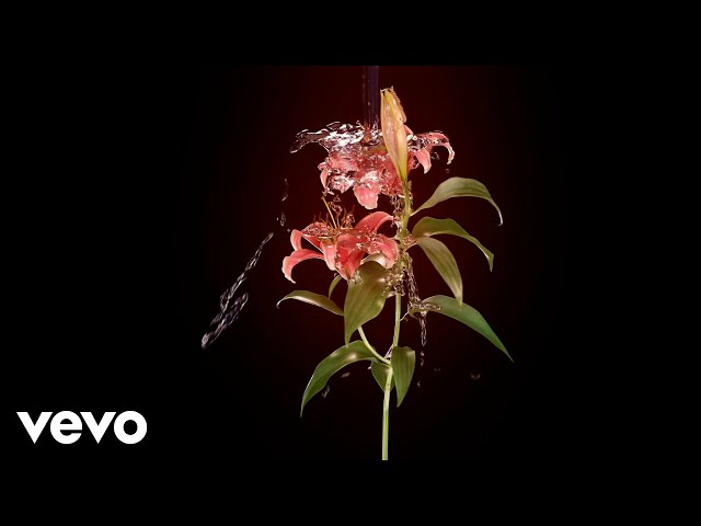 GoldLink - Raindrops (Visualizer) ft. Flo Milli