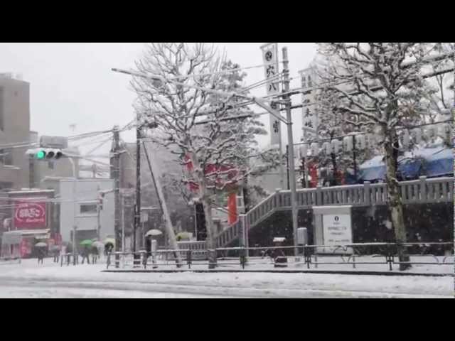Neve Em Tokyo, Shinjuku, Nishiwaseda 2013/Jan/14 (Snow In Tokyo Shinjuku Nishiwaseda)