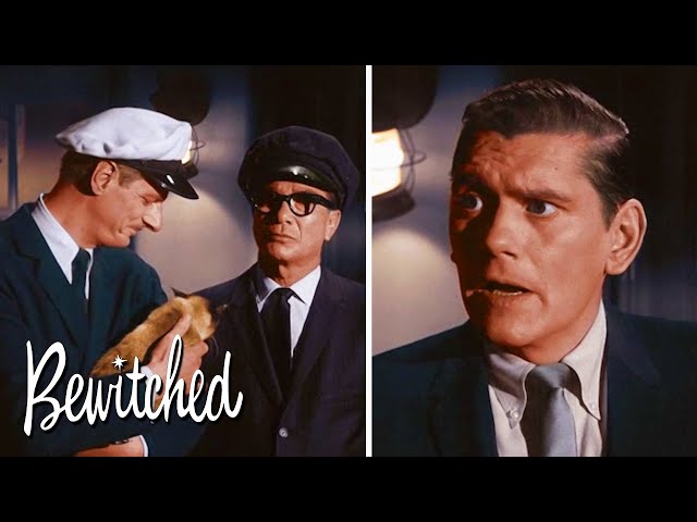 Darrin Has A Last-Minute Meeting In A Boat | Bewitched