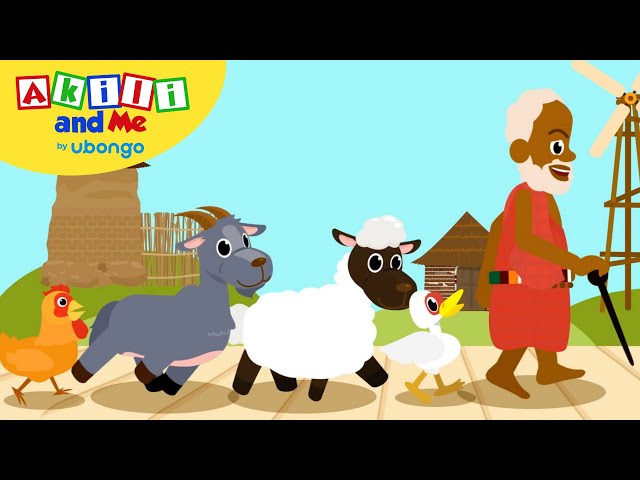 Mzee Rigo Had a Farm | Nursery Rhymes from Akili and Me | Learning videos for kids