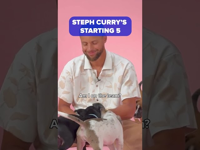 Steph Curry Chooses His Dream NBA Lineup #shorts #stephcurry