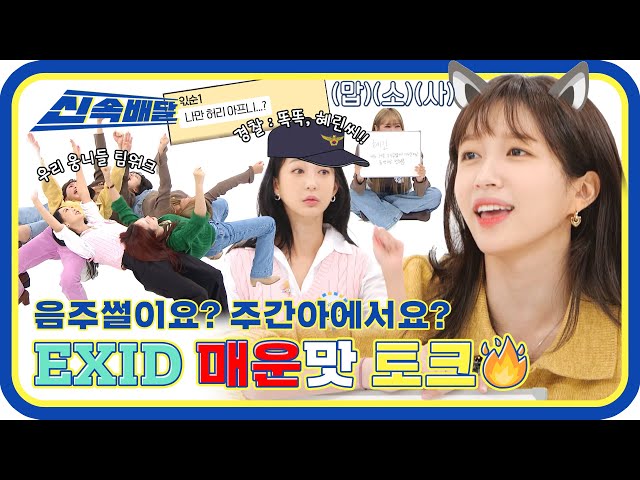 [신속배달] 10년차 아이돌 EXID의 매운맛 토크? 술 한잔하다 경찰 부른 웅니들?! x_x l #주간아이돌 l EP.582