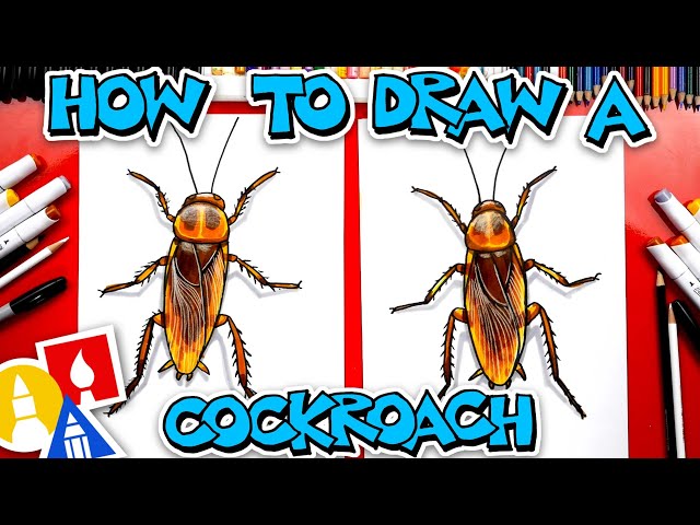 How To Draw A Cockroach