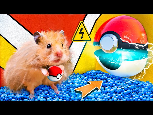 Hamster Escapes From the Pokemon Maze in Real Life!