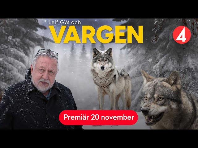 Leif GW och vargen | Trailer | Premiär 20 november | TV4 Play