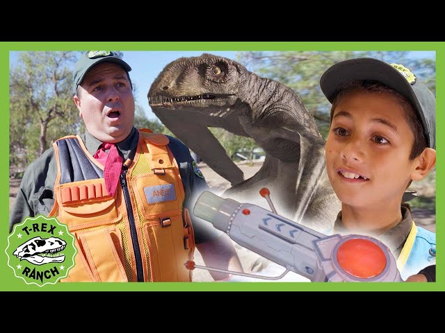 NEW! Big Top Pteranodon | T-Rex Ranch Dinosaur Videos