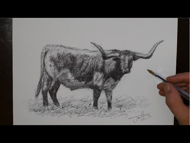 How to Draw a Texas Longhorn with a Biro Pen