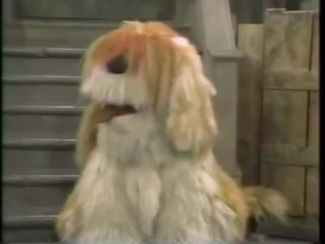 Classic Sesame Street: Oscar Makes Barkley Disobey (1988)