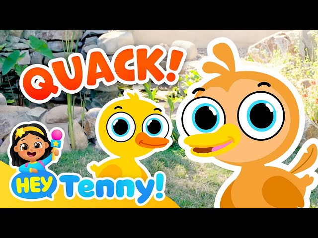 Six Little Ducks | Nursery Rhymes | Kids Songs | Educational Video for Kids | Hey Tenny!