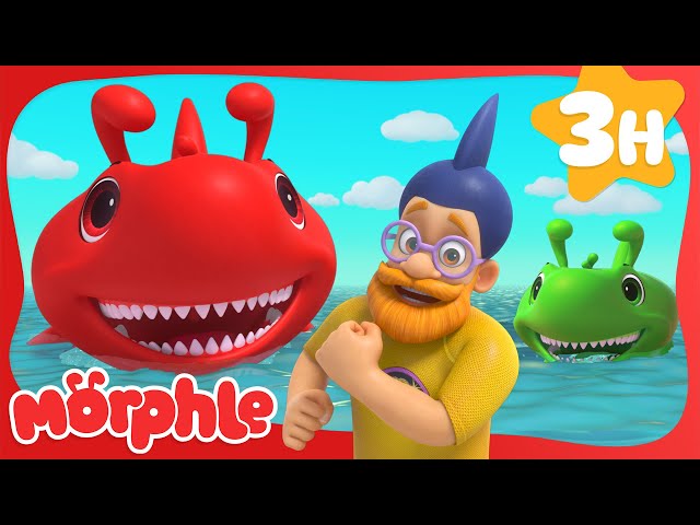Morphle the Great Red Shark! | Cartoons for Kids | Mila and Morphle