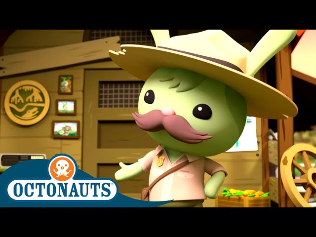 ​@Octonauts - The Great Swamp Adventure | Father's Day Special: Part 2 | Full Episodes
