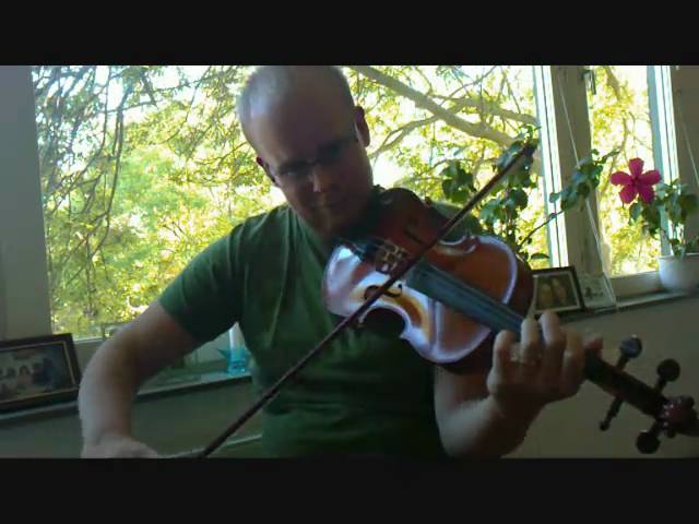 Plurrenodjuret - Violin - Swedish folk music by Mikael Frisk