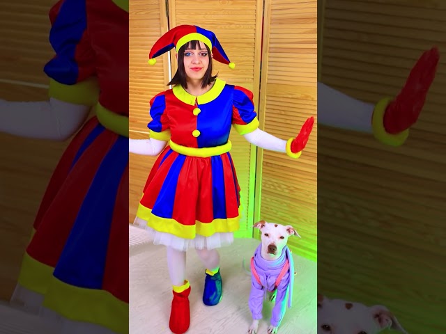 The Amazing Digital Circus & Pets Makeover! #shorts #troomzoo #dog #makeover
