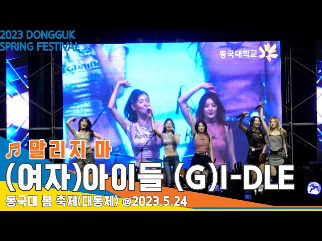 [직캠] (여자)아이들 (G)I-DLE ♬ 말리지 마 무대｜동국대 봄 축제(대동제) 2023 DONGGUK SPRING FESTIVAL @23.5.24 #Newsen