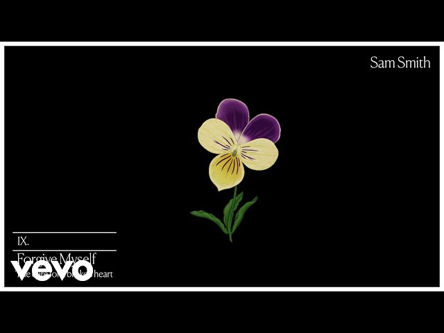 Sam Smith - Forgive Myself (Audio)
