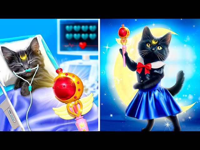 Save This Tiny Cat! Secret Hacks for Pet Owners! Sailor Moon in Real Life