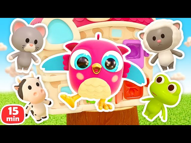 Pelajari warna dan angka bersama Hop Hop si Burung Hantu | Kartun untuk anak & video bayi