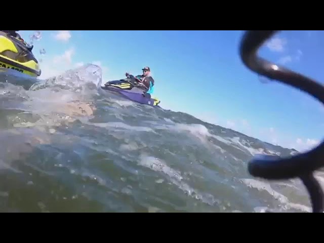 Jet Skier Rescues Dolphin From Fishing Net in South Florida