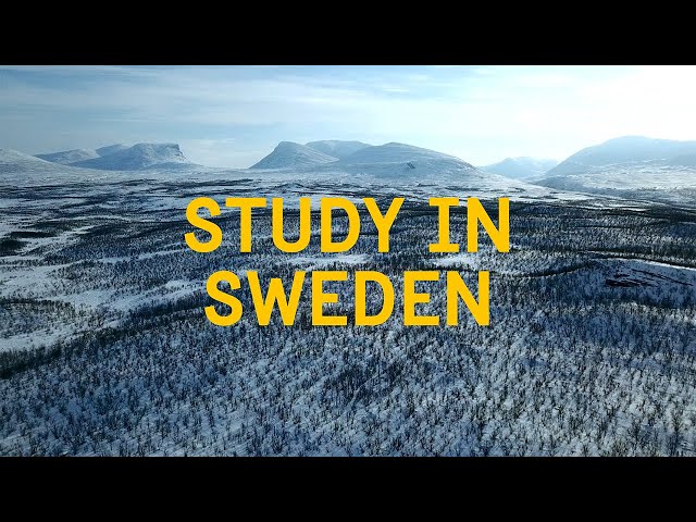 Choose Equality | Choose Freedom | Study in Sweden