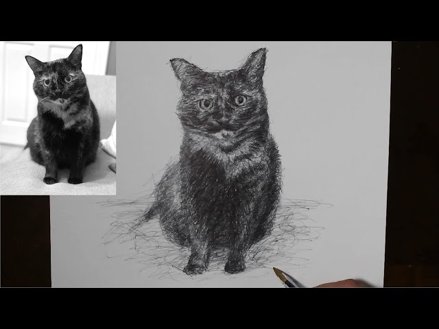How to Draw a Cat Scribble Art | Custom Drawing