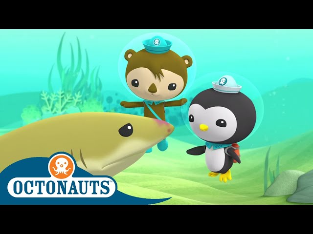 Octonauts - Injured Shark | Cartoons for Kids | Underwater Sea Education
