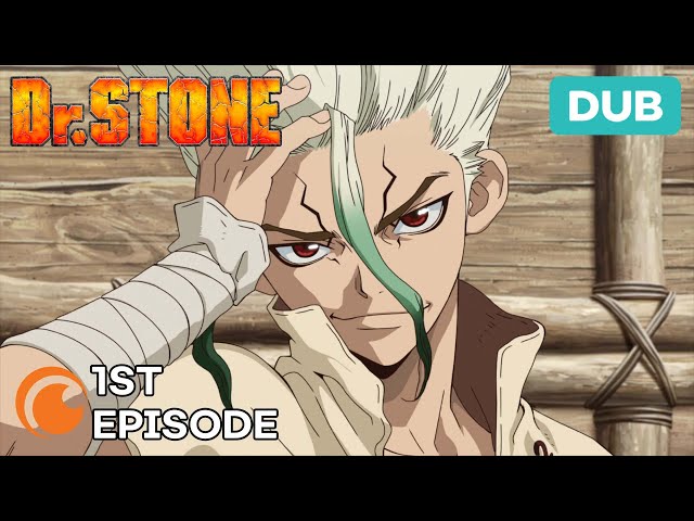 Dr. STONE Ep. 1 | DUB | Stone World