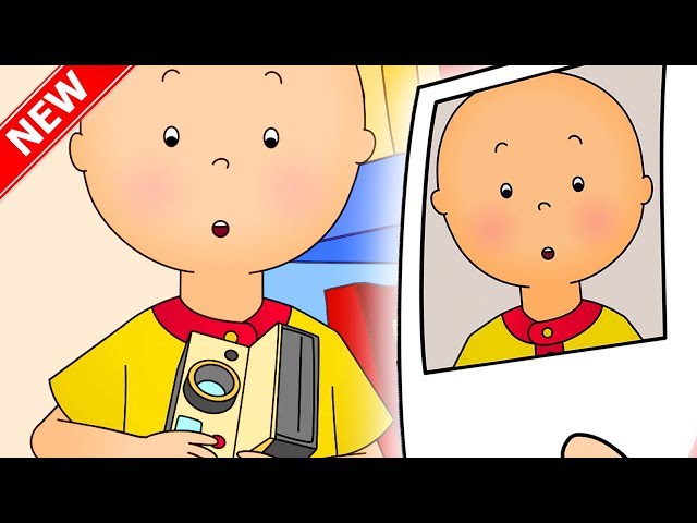 ★NEW★ 📷 Caillou Takes a Selfie 🤳 Funny Animated Videos For Kids | Caillou