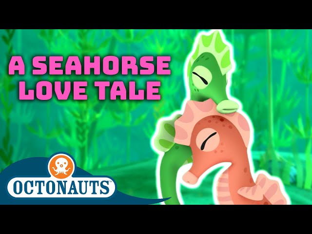 @Octonauts - A Seahorse Love Tale ❤️  | 60 Mins Valentine's Day Compilation | Cartoons for Kids