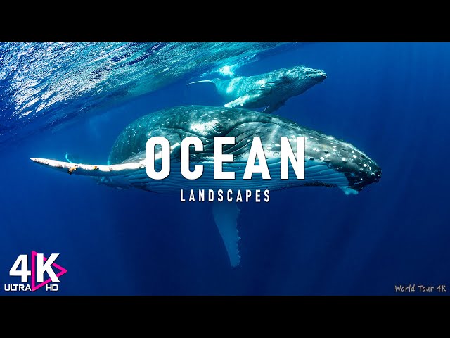 OCEAN 4K - Relaxing Music With Beautiful Natural Landscape - Amazing Nature